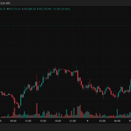 Эксперты оценили перспективы биткоина после достижения $107 000